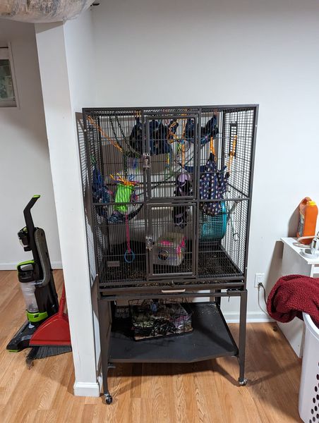 sugar gliders enclosure